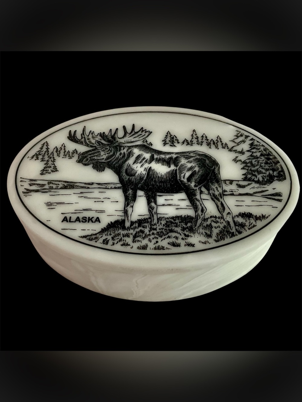 Cultured Ivory Scrimshaw Alaska Moose Oval Trinket Box - Black and Cream